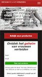 Mobile Screenshot of droomvrouwenverleiden.nl